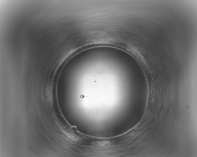 X0000061120108200511211011