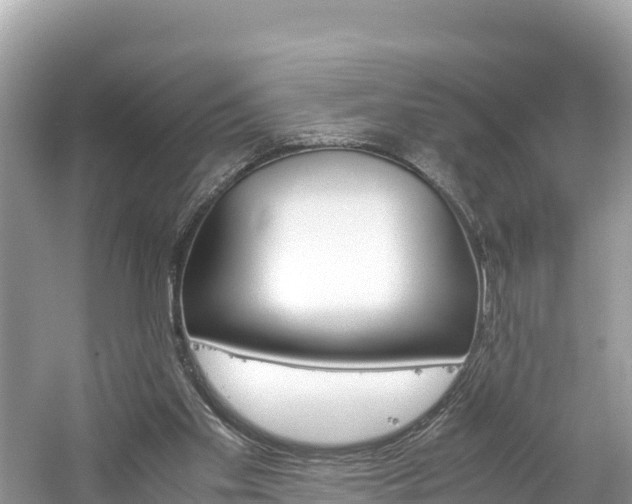 X0000061120109200511211011