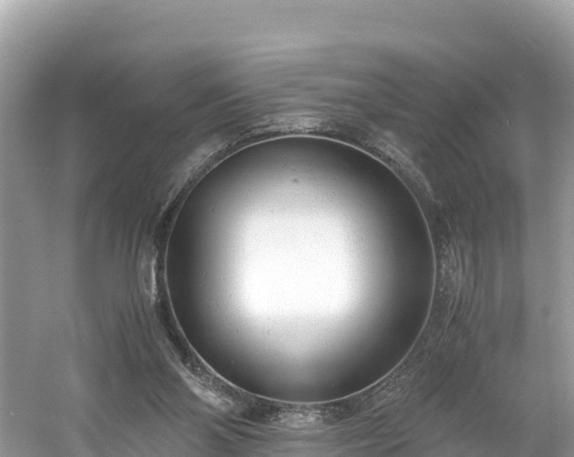 X0000061120110200511211011