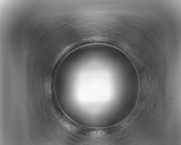 X0000061120112200511211011