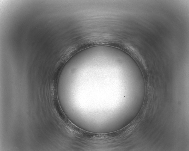 X0000061120113200511211011