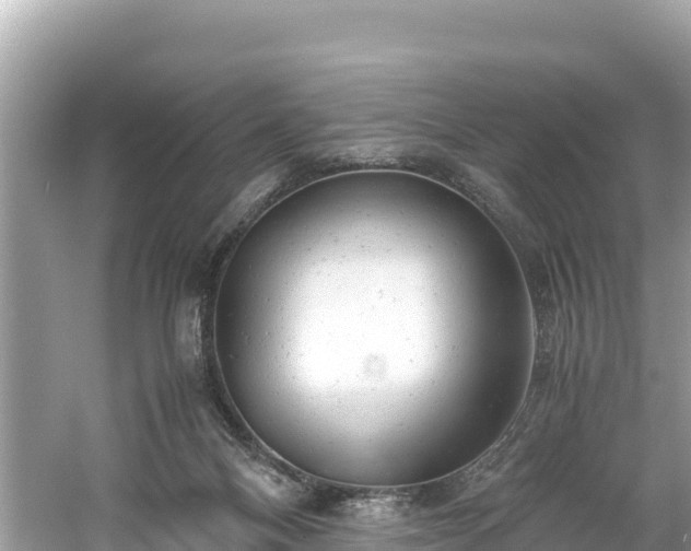 X0000061120120200511211011