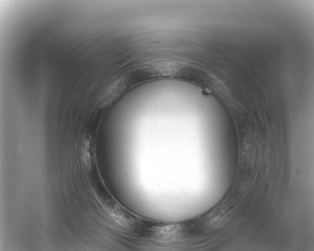 X0000061120122200511211011