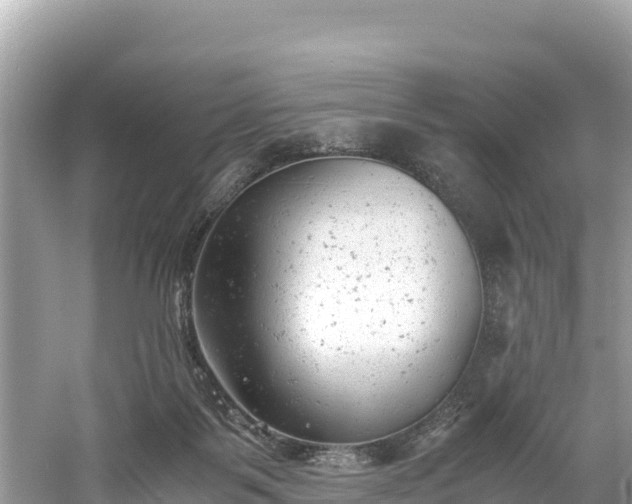 X0000061120123200511211011