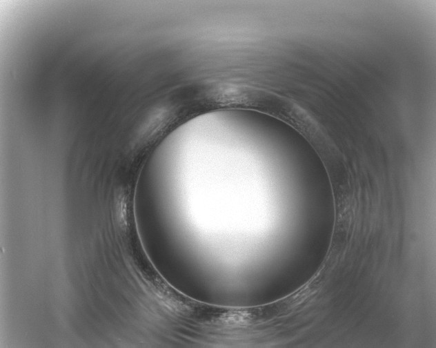 X0000061120124200511211011