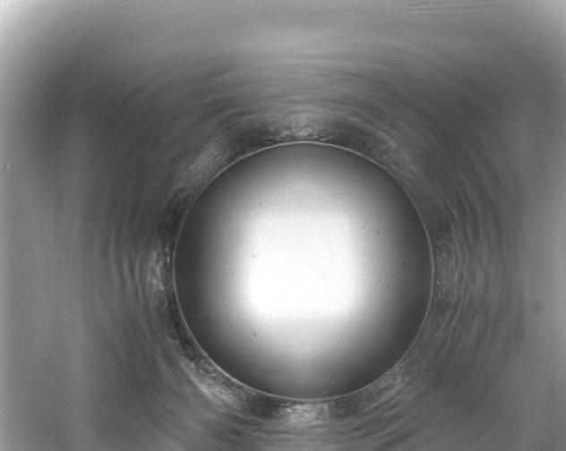 X0000061120126200511211011