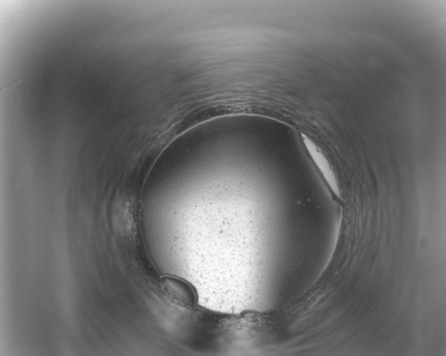 X0000061120131200511211011