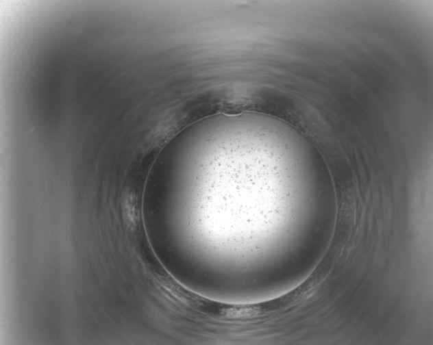 X0000061120135200511211011