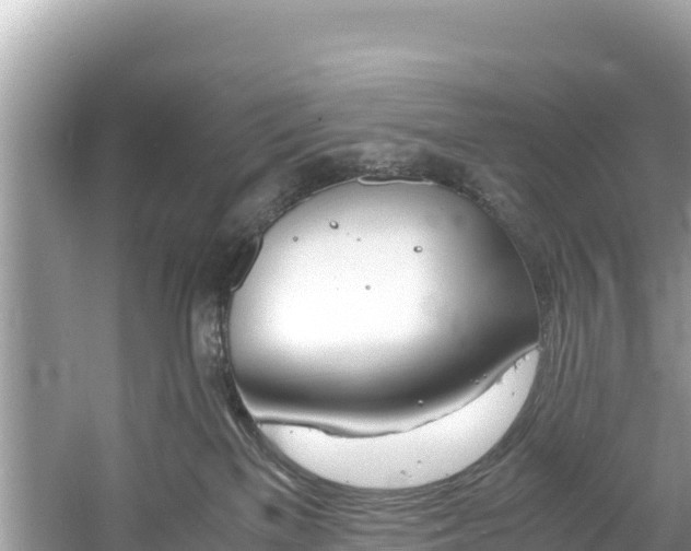 X0000061120137200511211011