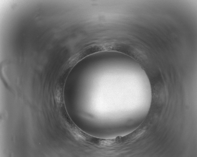 X0000061120139200511211011