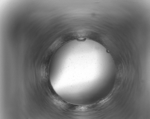 X0000061120140200511211011