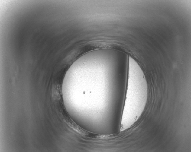 X0000061120141200511211011