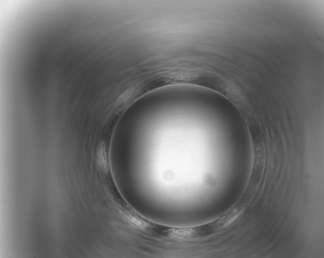 X0000061120143200511211010