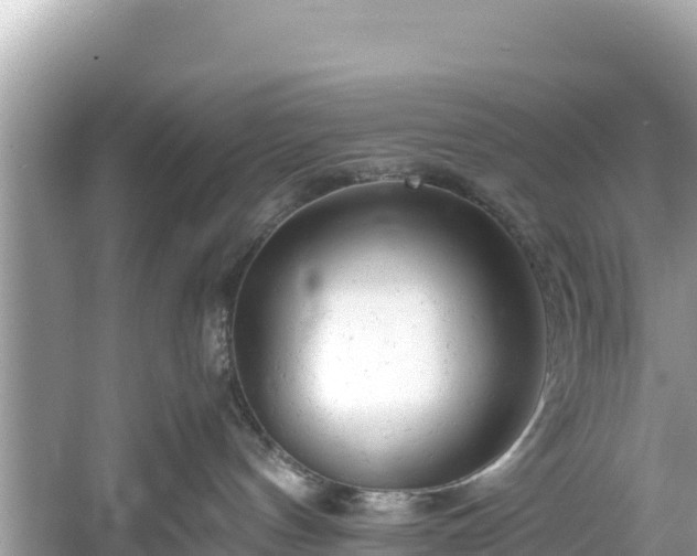 X0000061120144200511211010