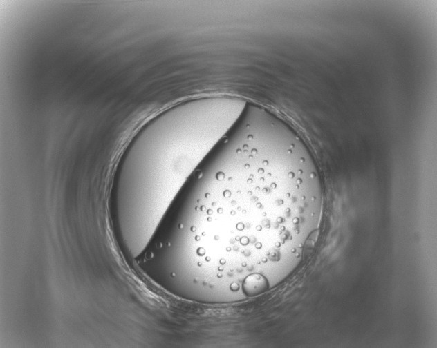 X0000061120145200511211010