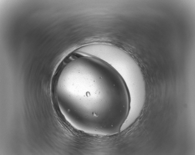 X0000061120148200511211010