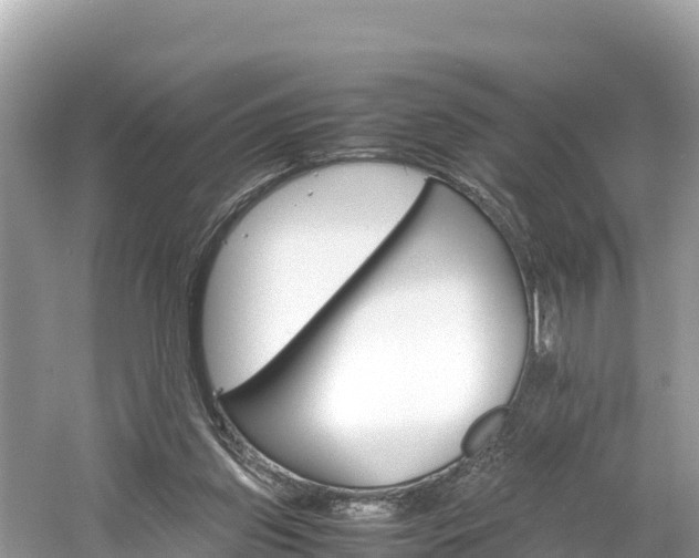 X0000061120157200511211010