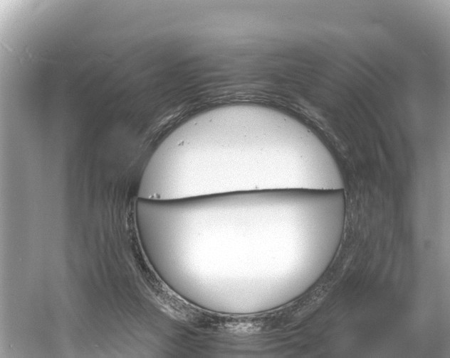 X0000061120161200511211010