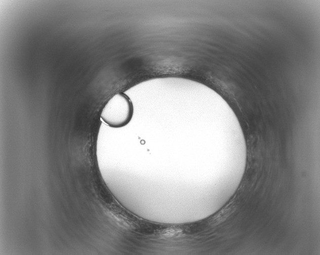 X0000061120162200511211010