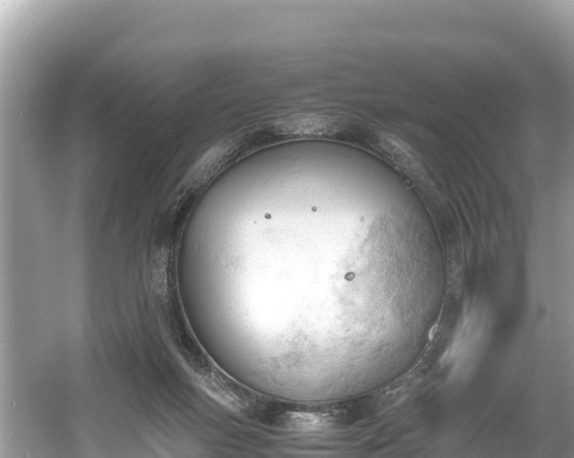 X0000061120167200511211010