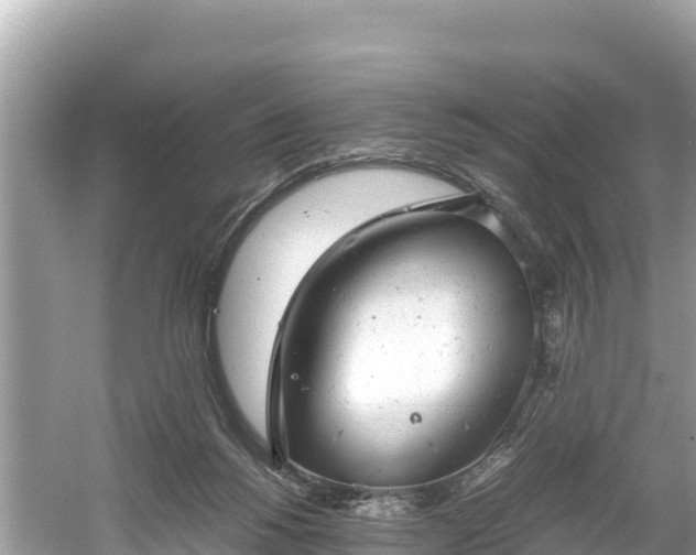 X0000061120168200511211010