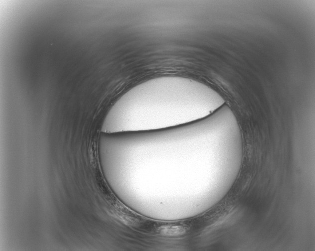 X0000061120169200511211010