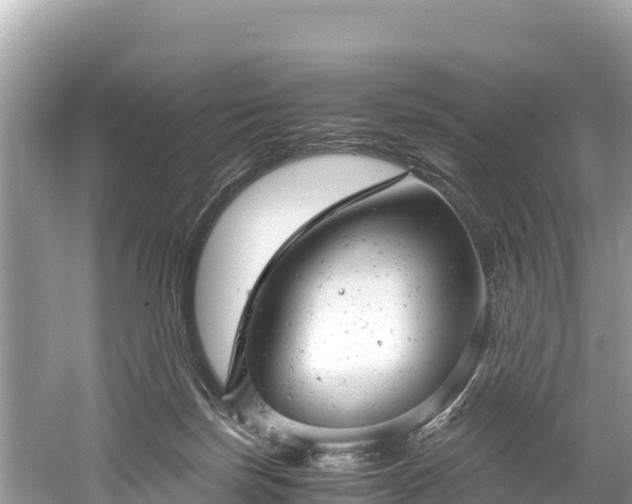 X0000061120171200511211010