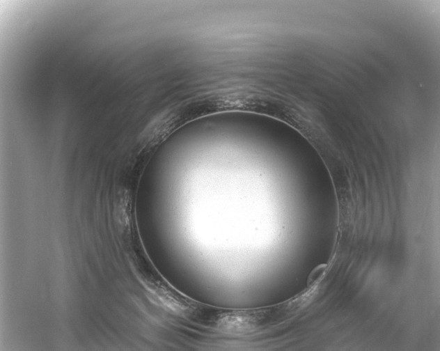 X0000061120174200511211010