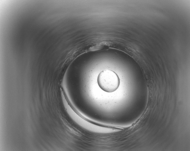 X0000061120175200511211010