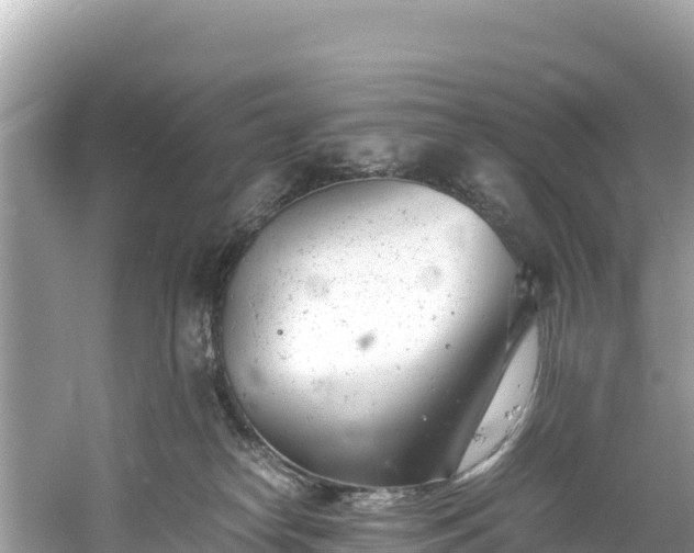 X0000061120182200511211010