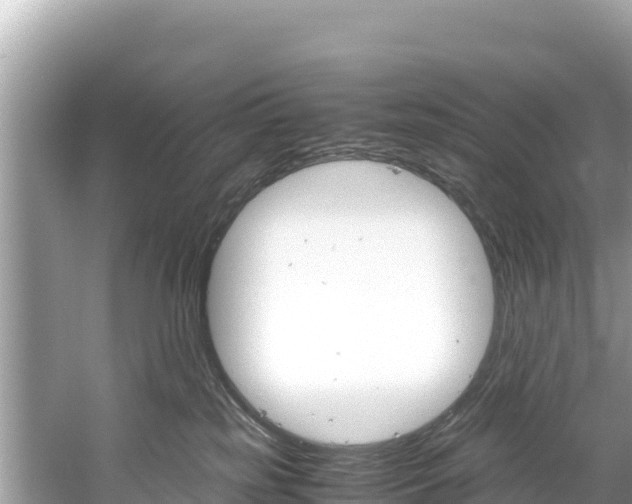 X0000061120185200511211010