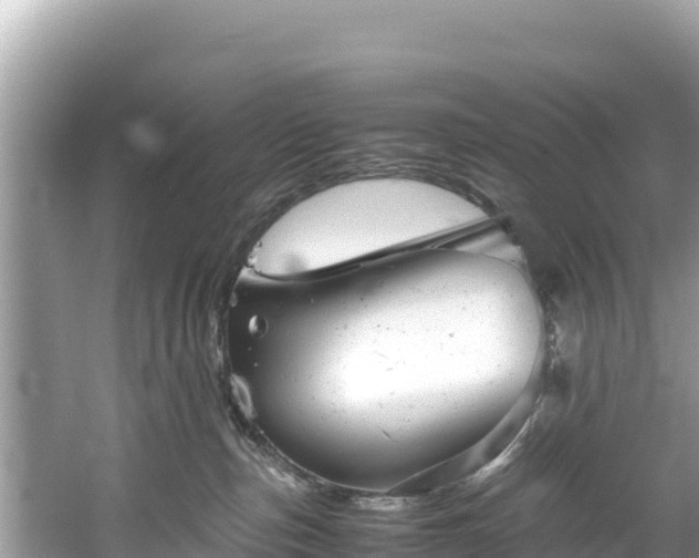 X0000061120187200511211010