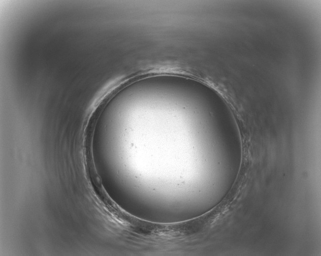 X0000061120199200511211009