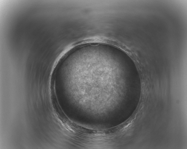 X0000061120200200511211009