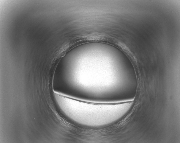 X0000061120201200511211009