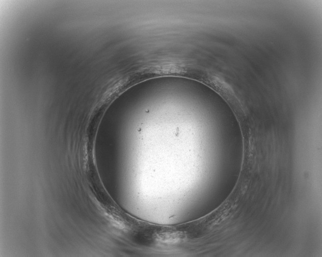 X0000061120202200511211009