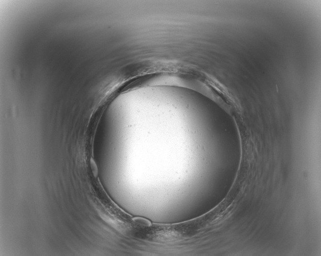 X0000061120203200511211009