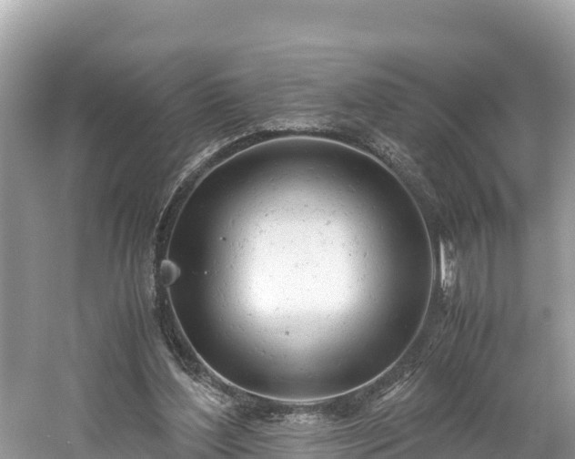 X0000061120204200511211009