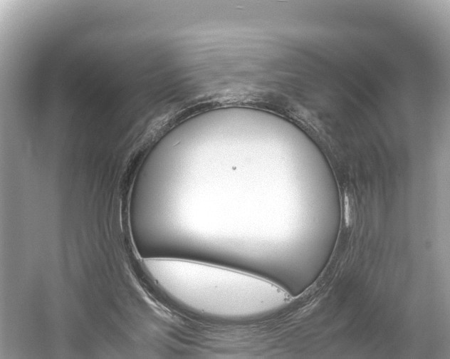 X0000061120205200511211009