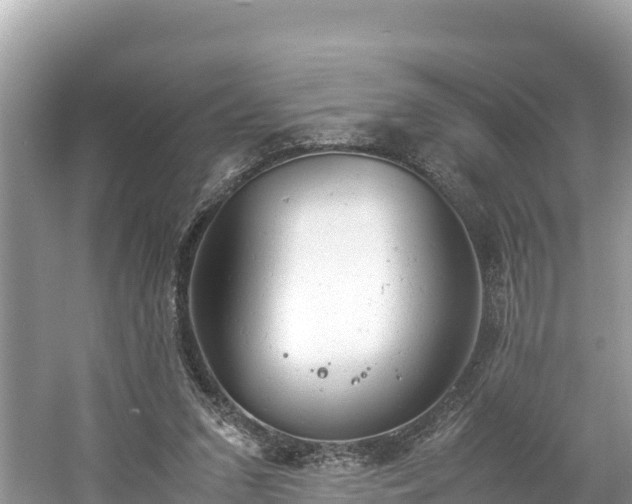 X0000061120207200511211009