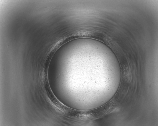 X0000061120208200511211009