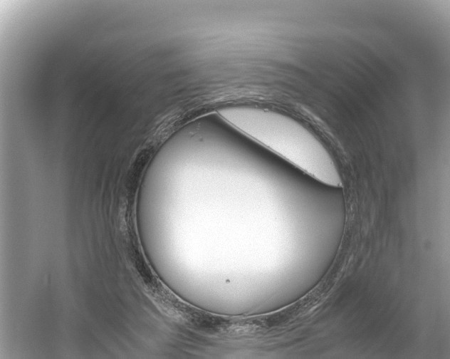 X0000061120209200511211009