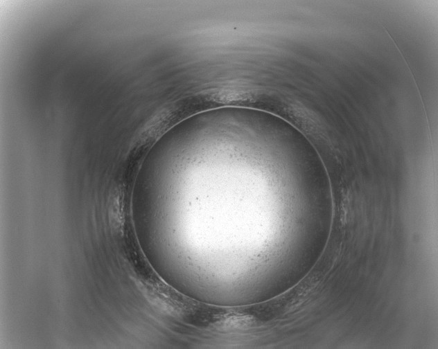 X0000061120210200511211009