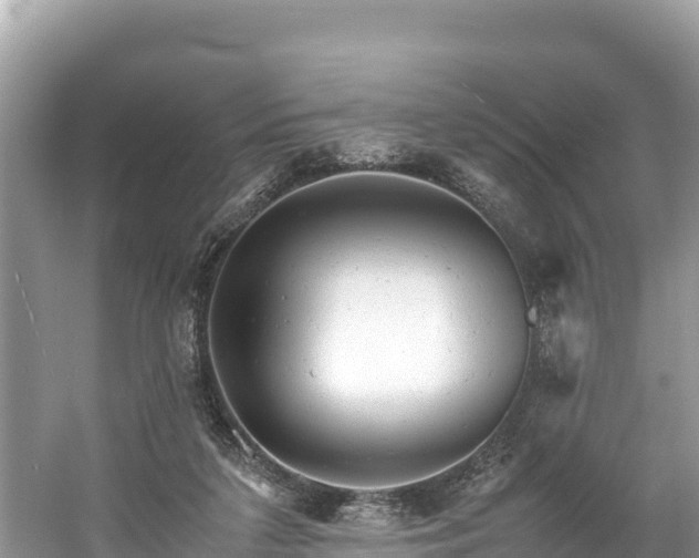 X0000061120211200511211009