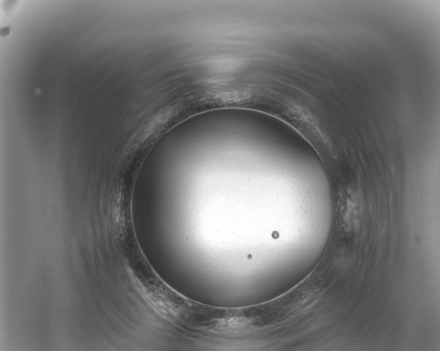 X0000061120212200511211009