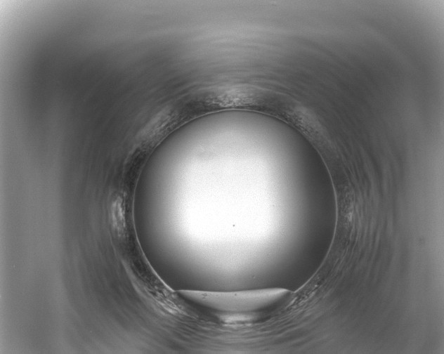 X0000061120214200511211009