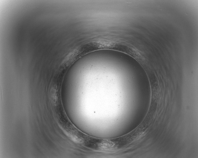 X0000061120215200511211009