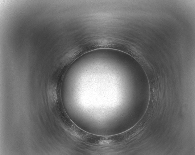 X0000061120216200511211009