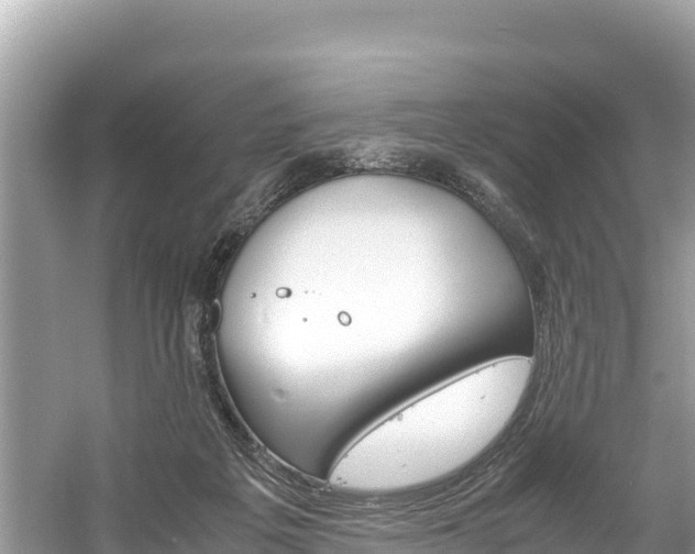 X0000061120217200511211009