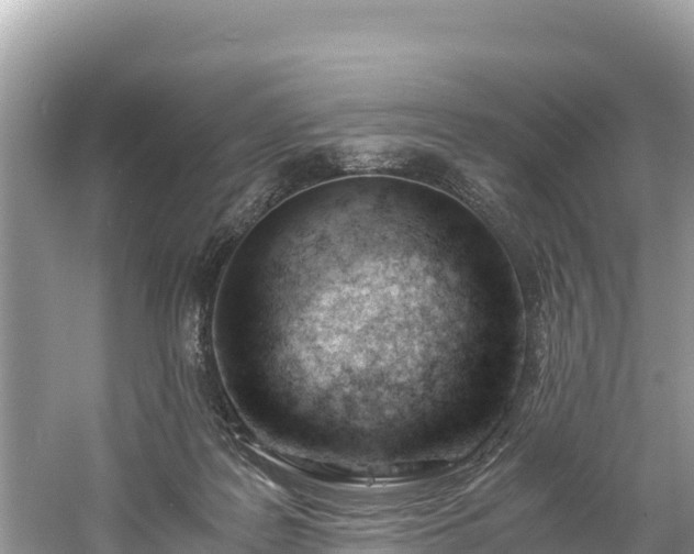 X0000061120219200511211009